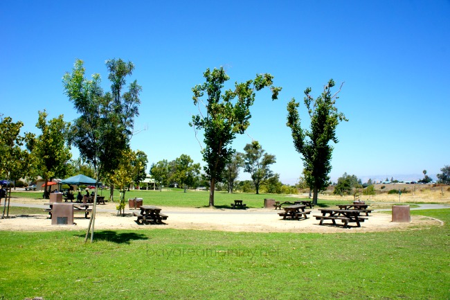 Los Gatos Creek Park