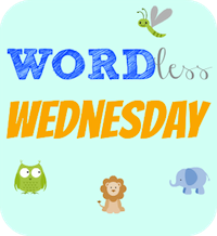 wordless-wednesday