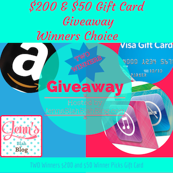 250-Gift-Card-Winners-Choice-Giveaway-1