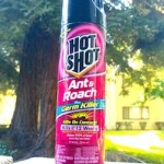 Don’t Let Bugs Feel At Home With Hot Shot® Insecticides